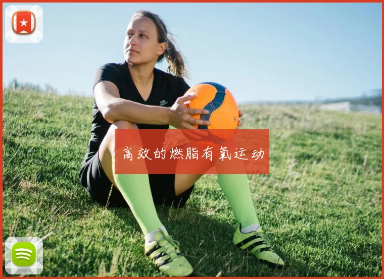 高效的燃脂有氧运动