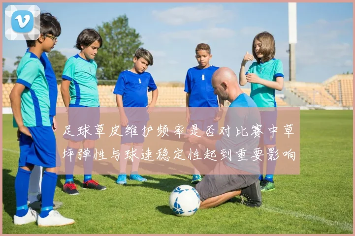 足球草皮维护频率是否对比赛中草坪弹性与球速稳定性起到重要影响