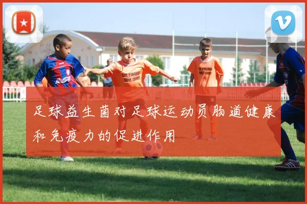 足球益生菌对足球运动员肠道健康和免疫力的促进作用