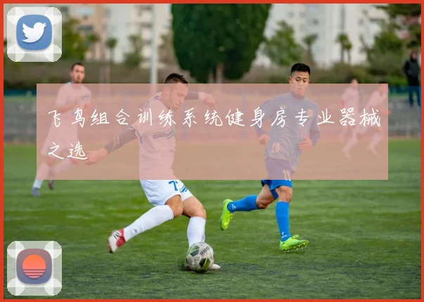 飞鸟组合训练系统健身房专业器械之选