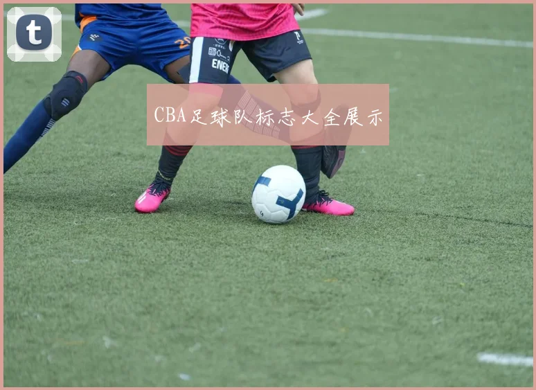 CBA足球队标志大全展示