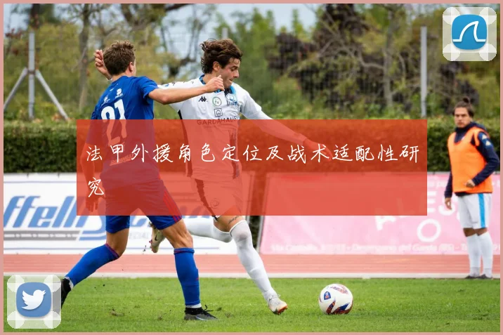 法甲外援角色定位及战术适配性研究