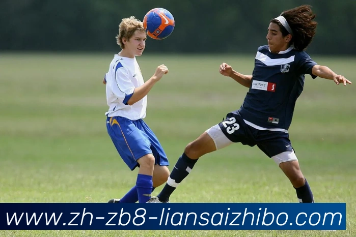 辅助工具 辅助工具